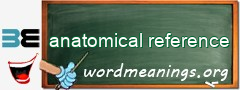 WordMeaning blackboard for anatomical reference